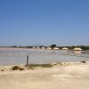 Marsala_2012 (287)